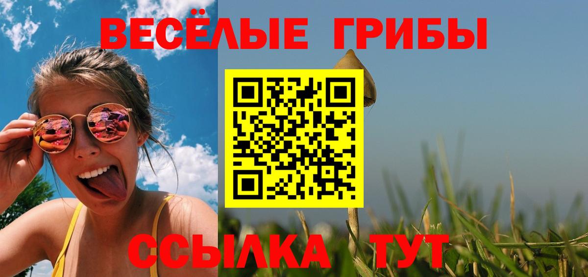 Щёлково  Псилоцибиновые грибы Magic Shrooms  дарнет шоп  Вход с VPN 